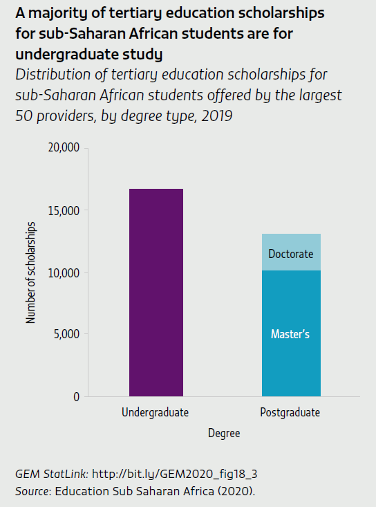 A majority of tertiary education scholarships for sub‑Saharan African students are for undergraduate study